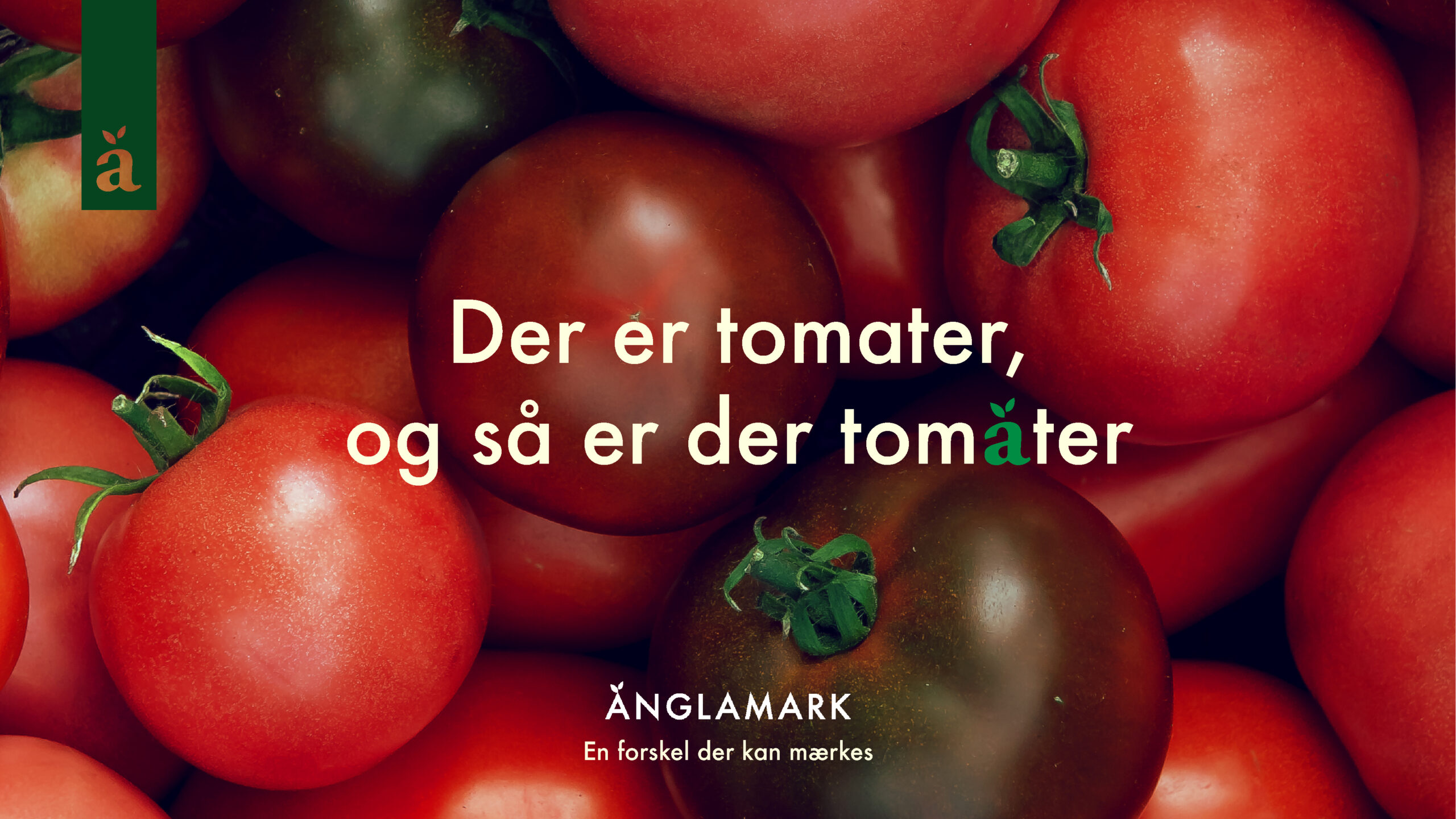 änglamark_adcepts_ny